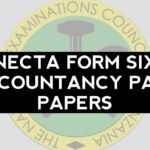 NECTA Form Six Accountancy Past Papers pdf