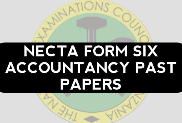 NECTA Form Six Accountancy Past Papers pdf