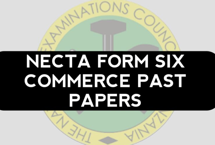 NECTA Form Six Commerce Past Papers