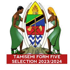 TAMISEMI Form Five Selection 2024