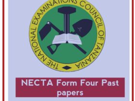 NECTA Form Four Geography past paper PDF 2023