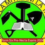 Form Six Pre-Necta Exams 2024