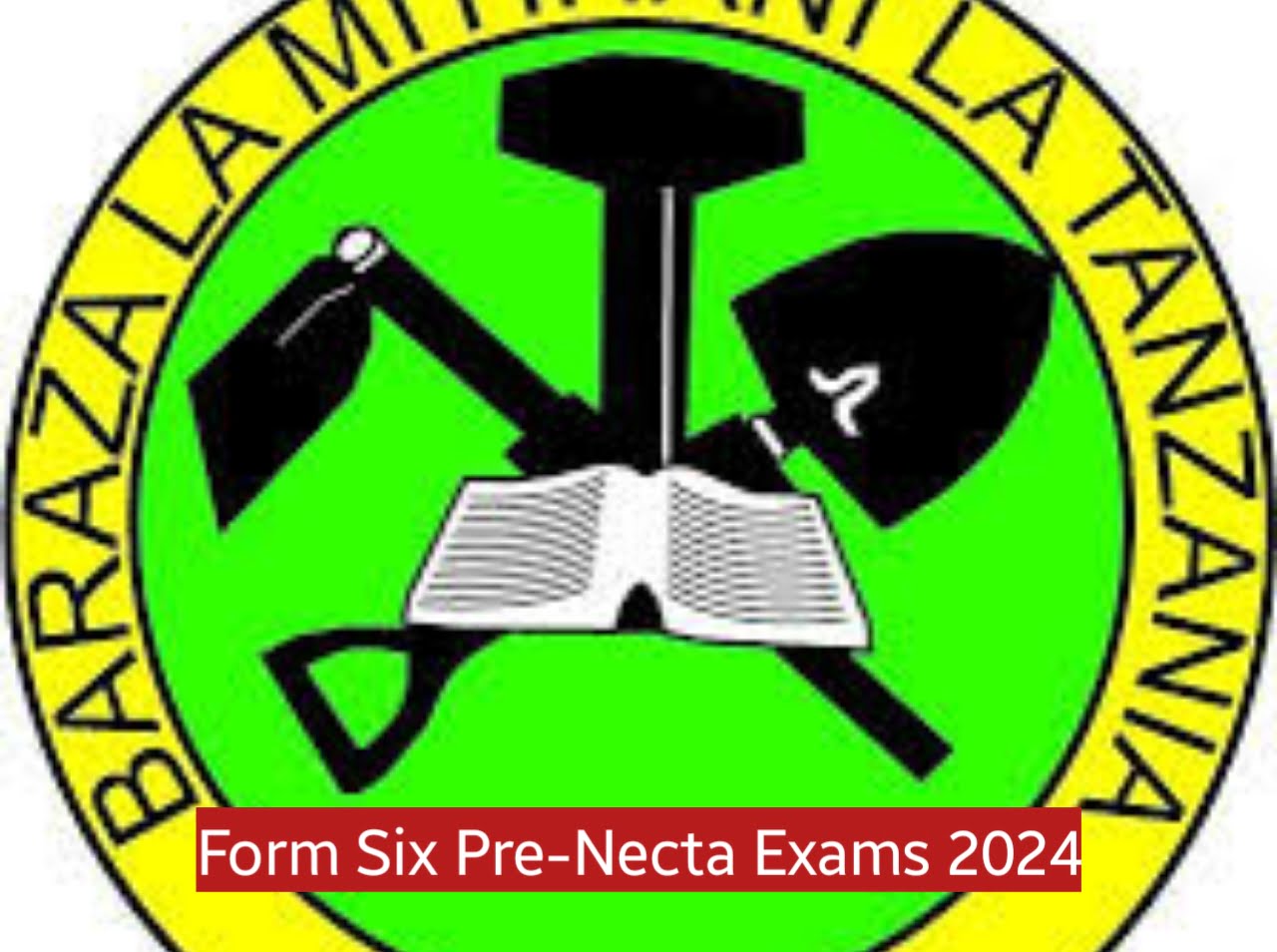 Form Six Pre-Necta Exams 2024