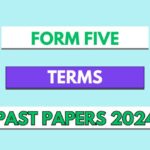 Form Five terminal examination past paper pdf 2024