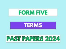 Form Five terminal examination past paper pdf 2024