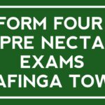 Mafinga Town Pre Necta Exams 2024