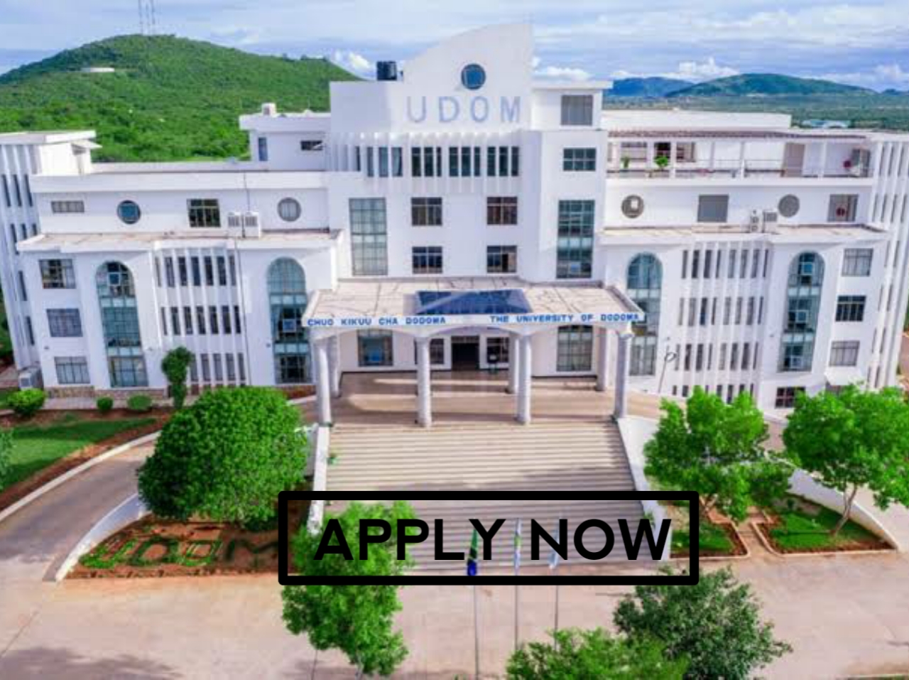 Vyuo vya ualimu vya serikali Diploma