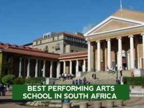 Best Performing Arts Schools in South Africa