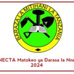 NECTA Matokeo ya Darasa la Nne 2024