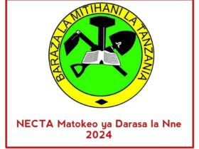 NECTA Matokeo ya Darasa la Nne 2024