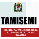 Tamisemi Waliochaguliwa kujiunga kidato cha kwanza 2025