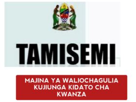 Tamisemi Waliochaguliwa kujiunga kidato cha kwanza 2025