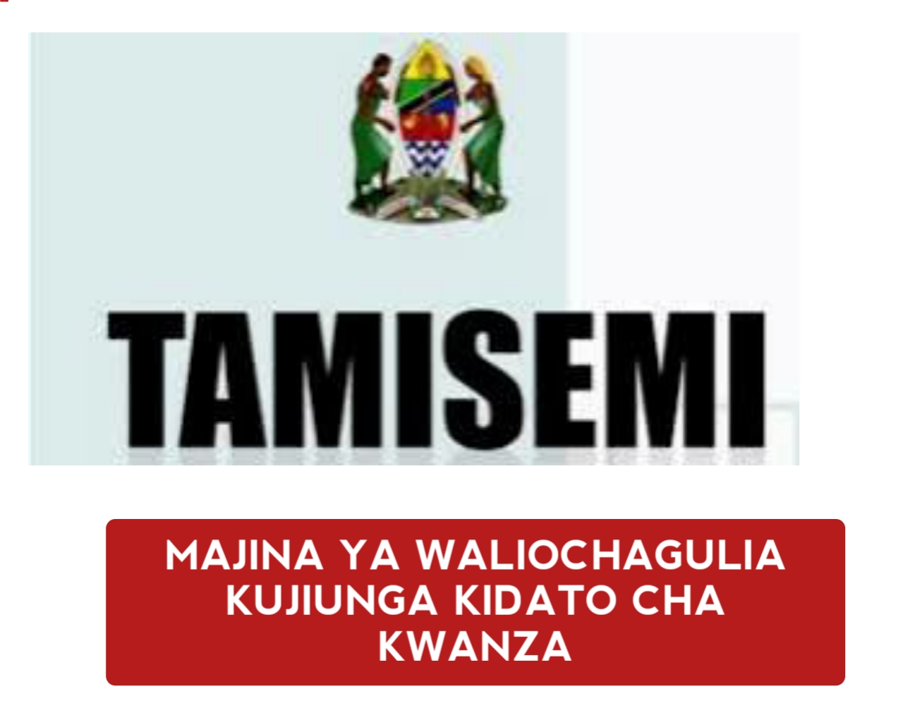 Tamisemi Waliochaguliwa kujiunga kidato cha kwanza 2025