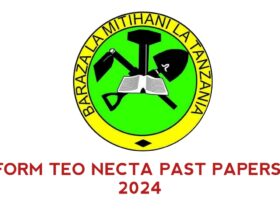 Form Two NECTA Past Papers 2024