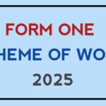 Form one scheme of work 2025