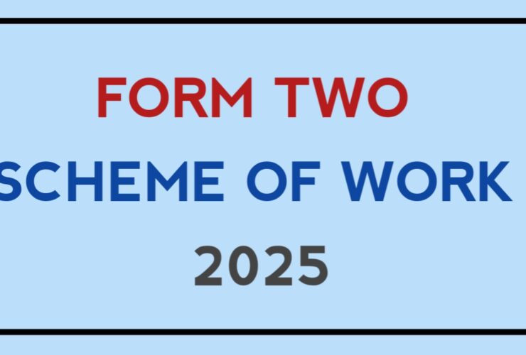 Form two scheme of work 2025