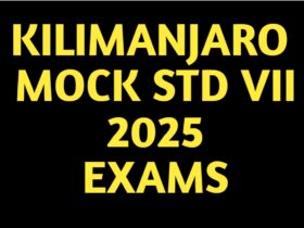 Kilimanjaro Mock Exams Standard Seven 2025