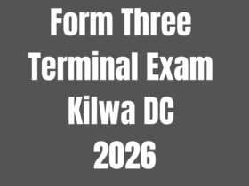 Form Three Terminal Exam 2026 Kilwa DC With Marking Schemes - Download 38 Form Three Terminal Exam 2026 Kilwa DC With Marking Schemes - Download